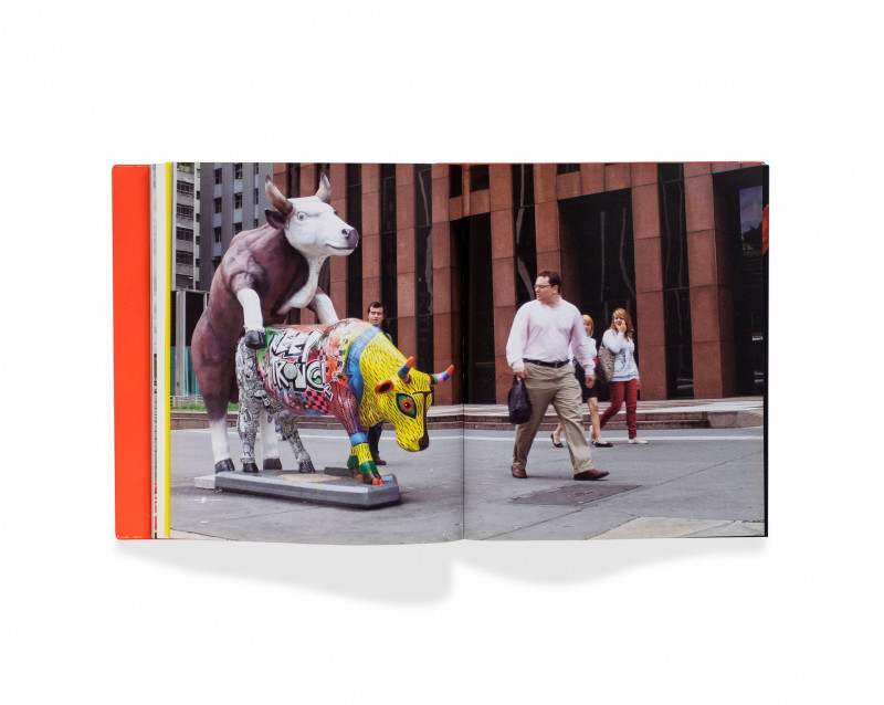 arte-visual-brasil-brazilian-visual-art