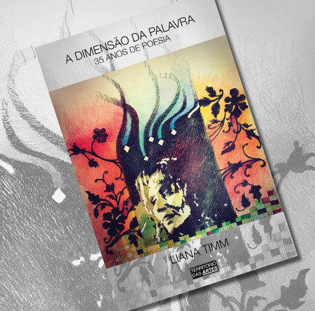 livro-artista-visual-liana-timm-brasil