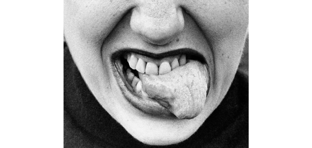 quadro de artista visual do Brasil