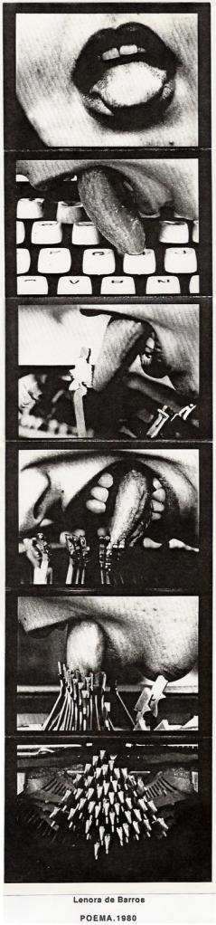 Quadro de artista visual do Brasil. 