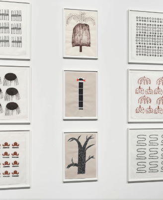 Sheroanawe-Hakihiiwe-brazilian-art-amazonia-venezuela