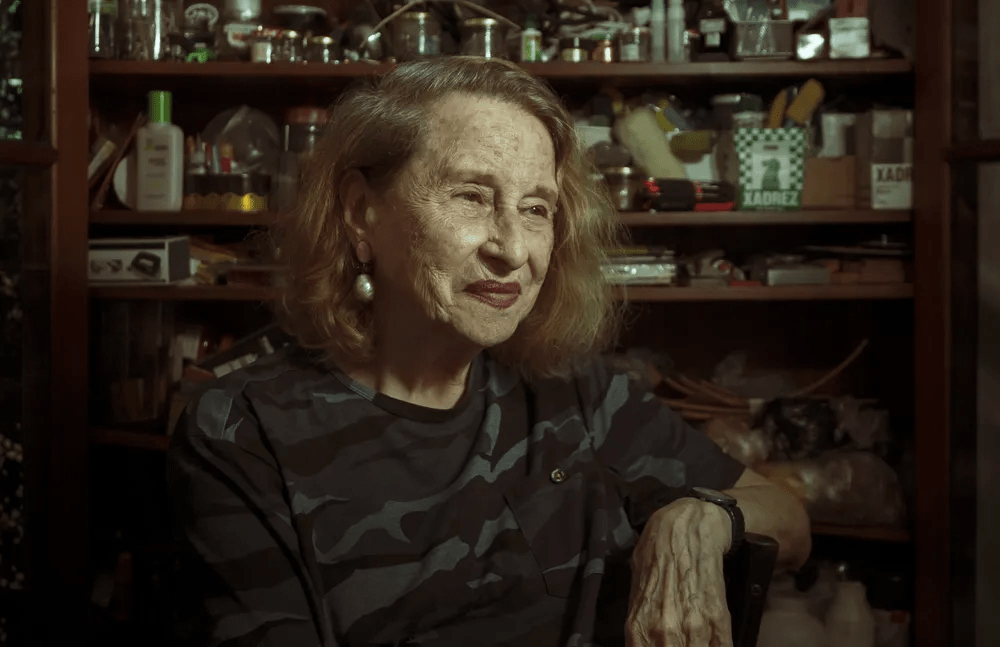 Anna Bella Geiger, artista visual do Brasil na arte brasileira