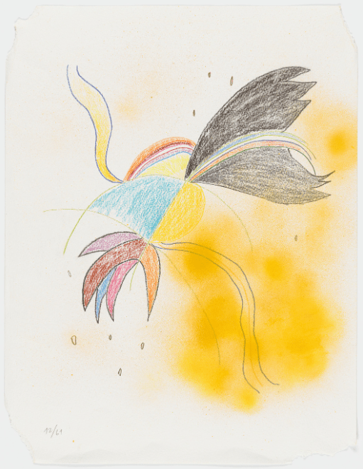 tadáskia-ave-preta-mistica